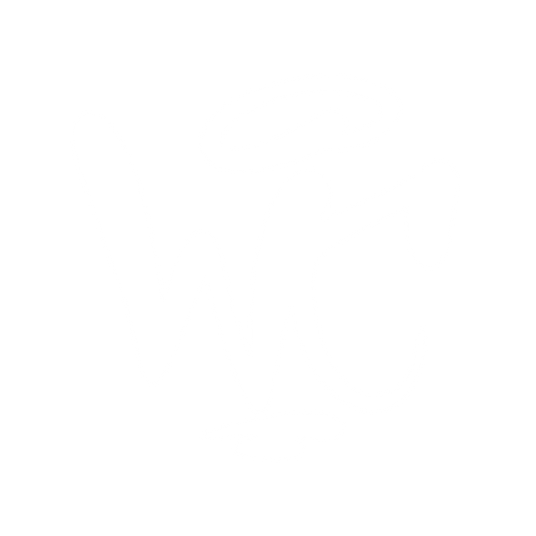 Wiseclub